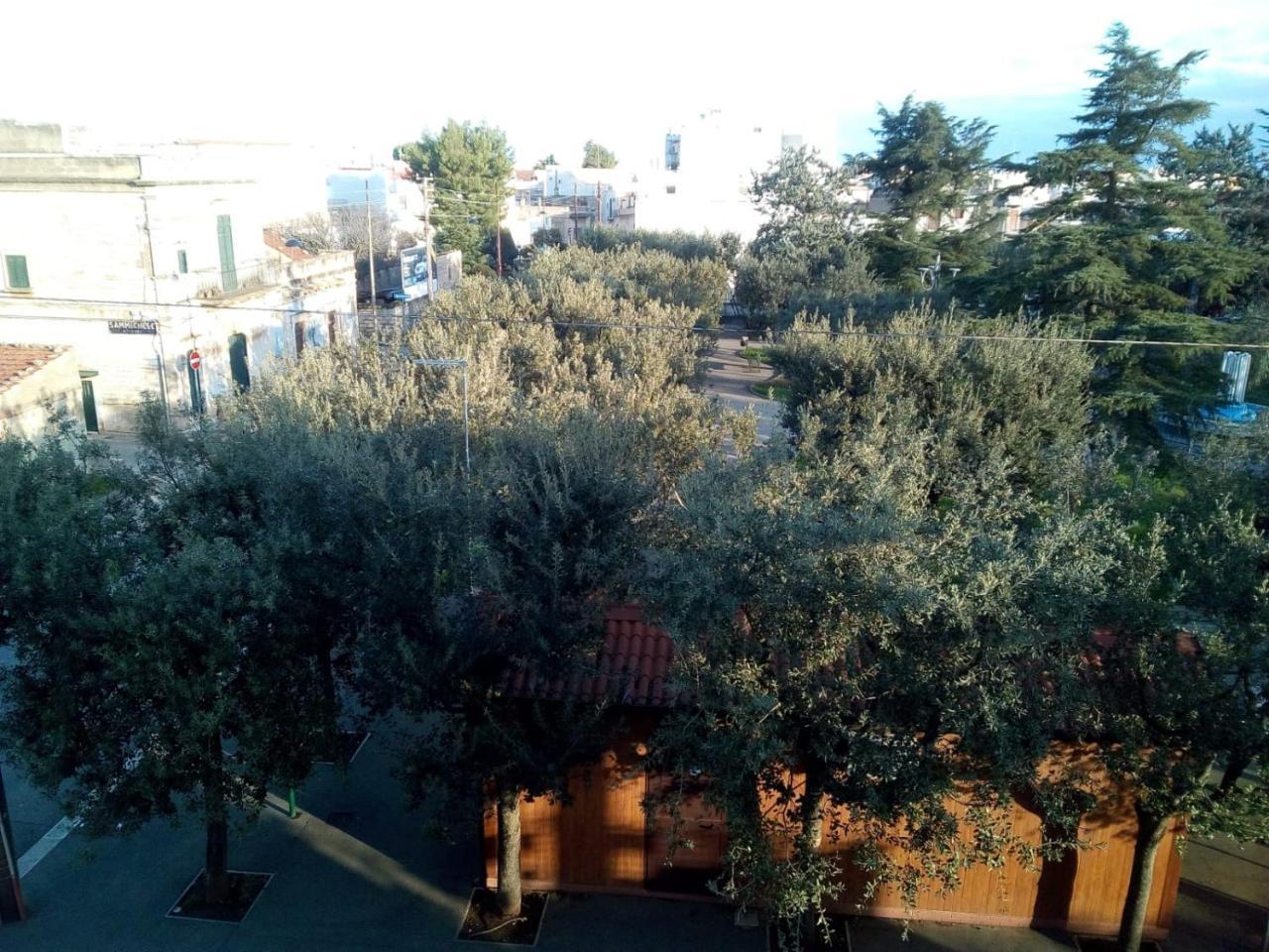 "La Casa Di Mariagrazia" Appartamento 4 Locali Sammichele Di Bari Exterior foto